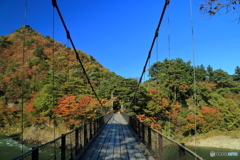 紅葉と吊り橋