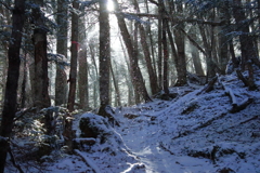 ほとばしる粉雪