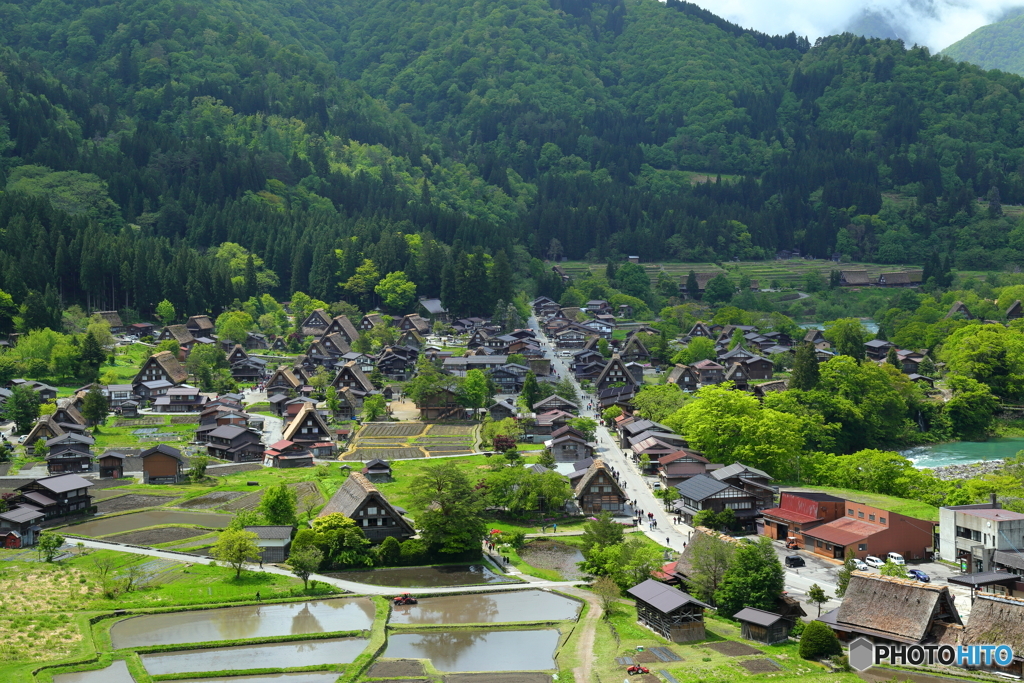 色づき始めた白川郷