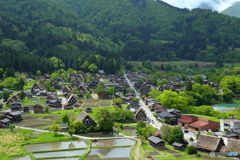 色づき始めた白川郷