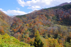 里山の秋