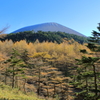 紅葉と浅間山
