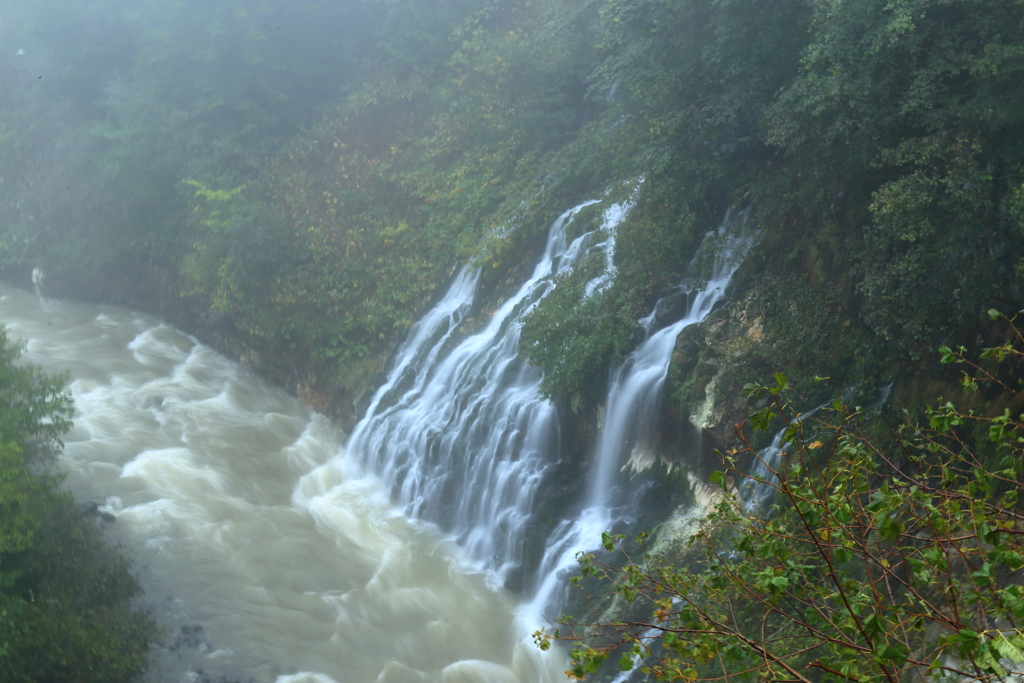 白ひげの滝