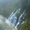 白ひげの滝