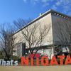 What's　NIIGATA