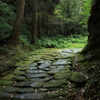 雨の古道