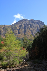 八ヶ岳と紅葉