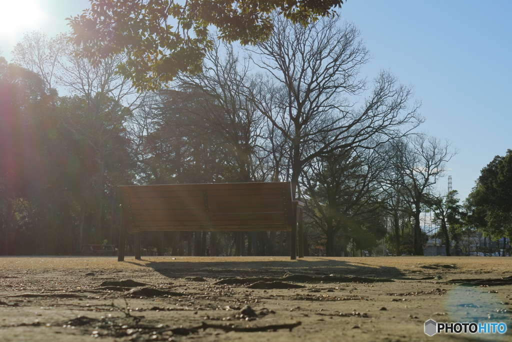 冬の公園