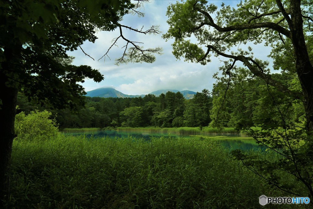 瑠璃色の沼
