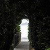 フクギ並木の向こう