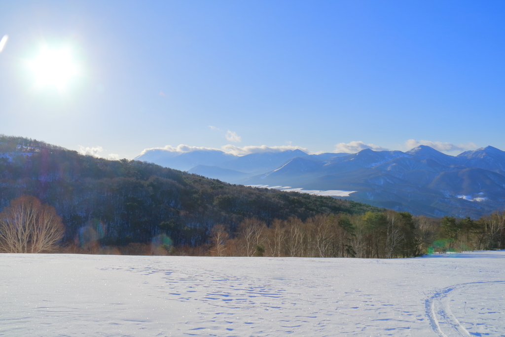 朝の雪原