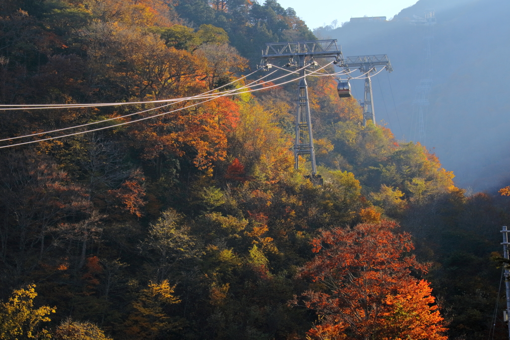 ロープウェイで紅葉鑑賞