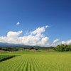 空と雲と田畑の緑