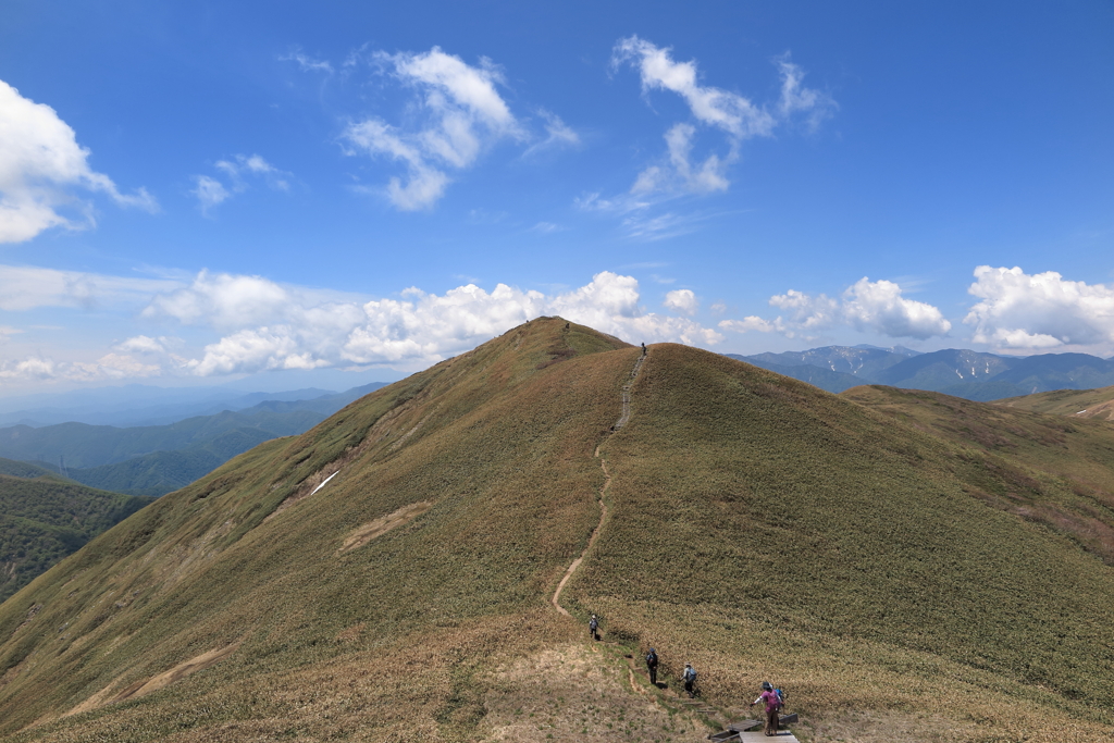 夏山