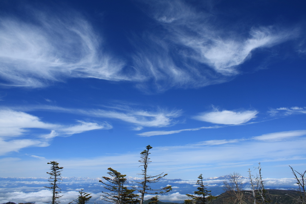 柔らかな雲