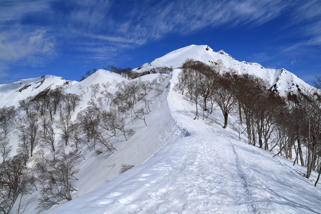 谷川岳へ