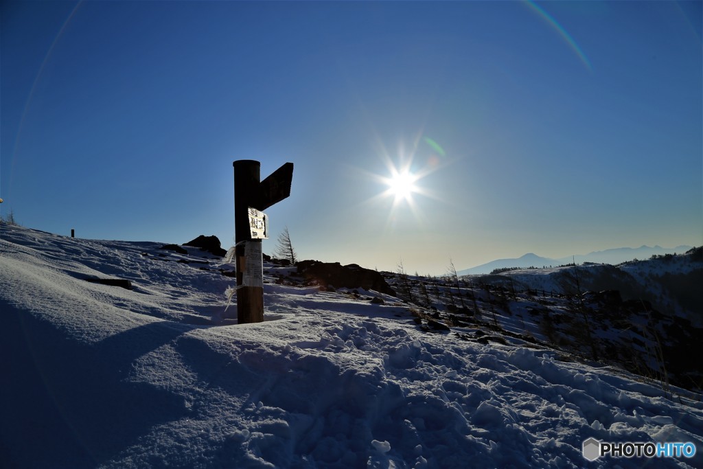雪原の朝