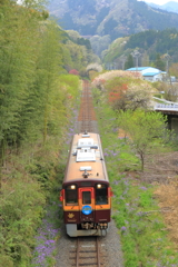 新緑を駆ける