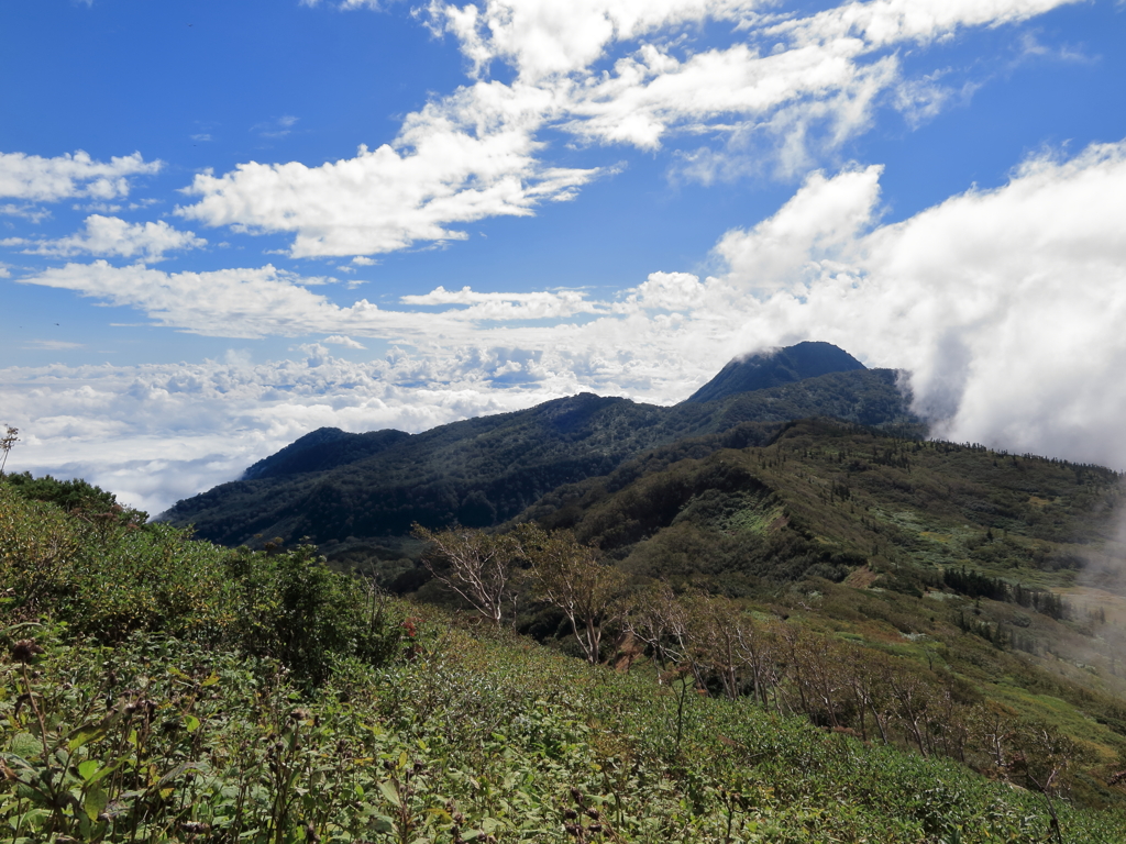 夏山の風景