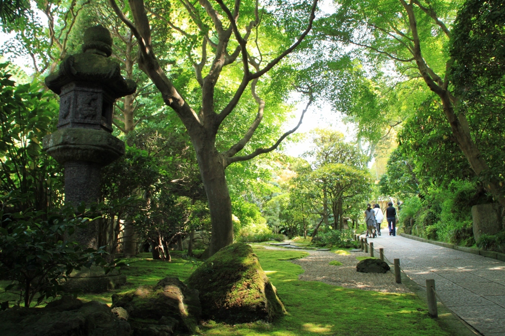 寺の小径2