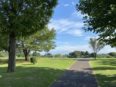 ランニングコース