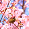 春の香り