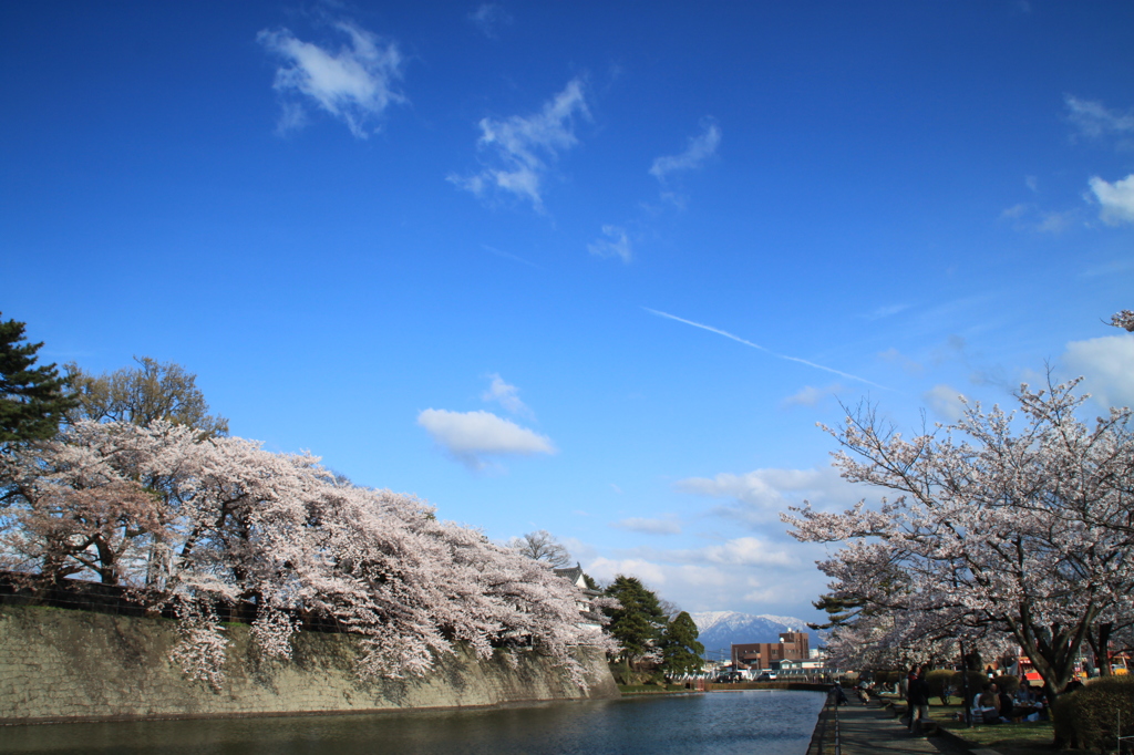 新発田城公園