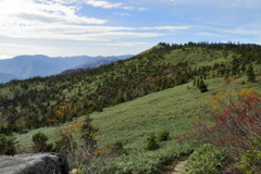 苗場山の紅葉