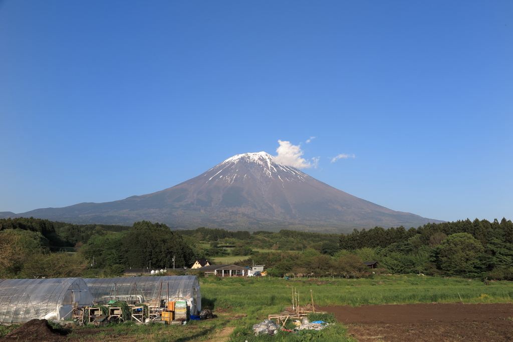 富士山の雄姿