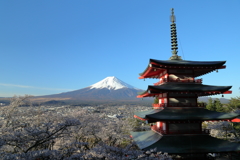 日本の美風景