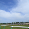 新潟競馬場