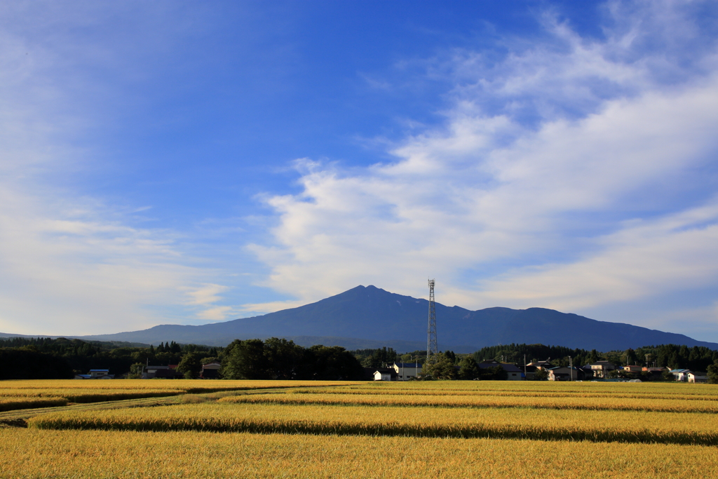 鳥海山と田園風景