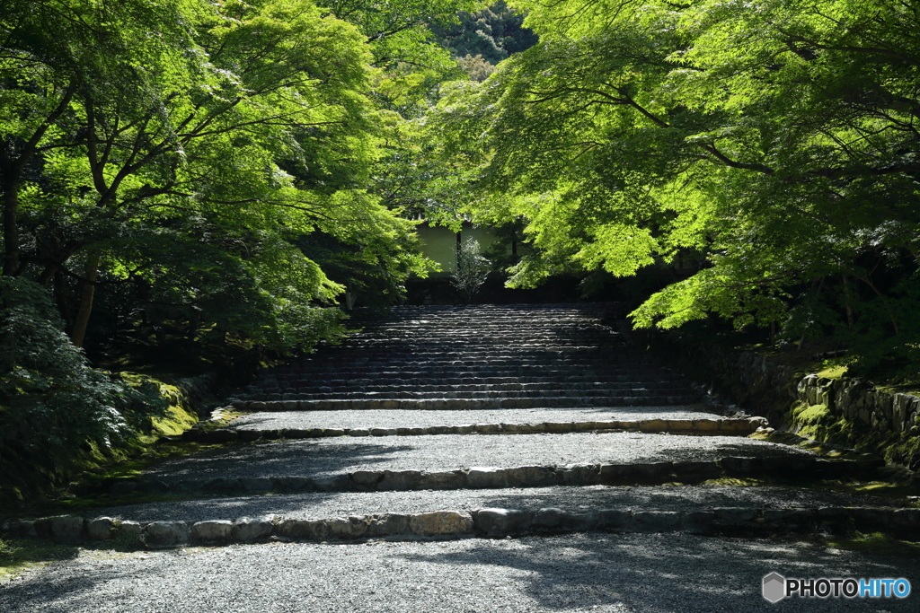 もみじの階段
