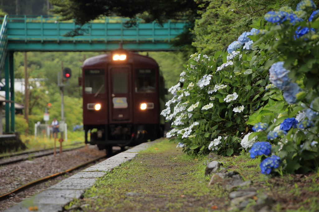 花の駅