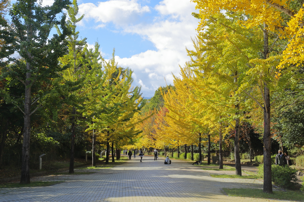 秩父ミューズパーク