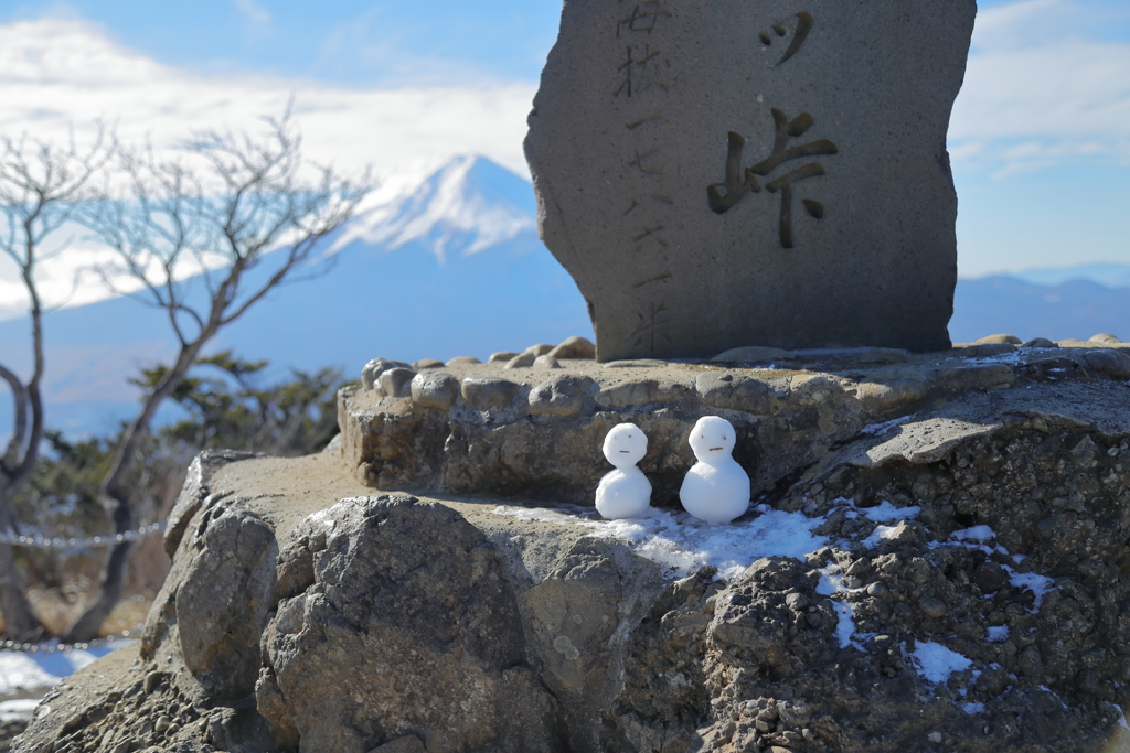 三つ峠山山頂から