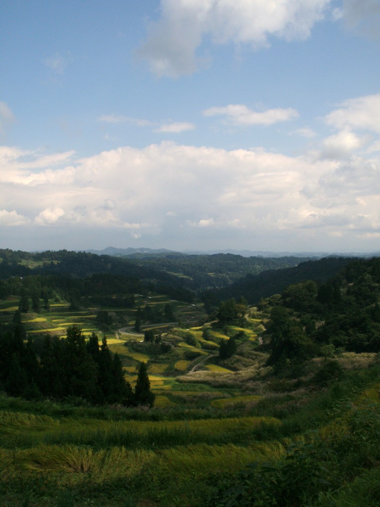 松代の棚田