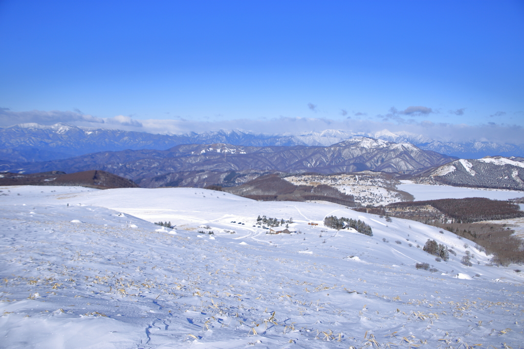 雪の霧ヶ峰