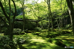 祇王寺