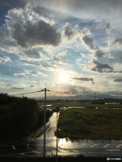 雨上がりの光る道