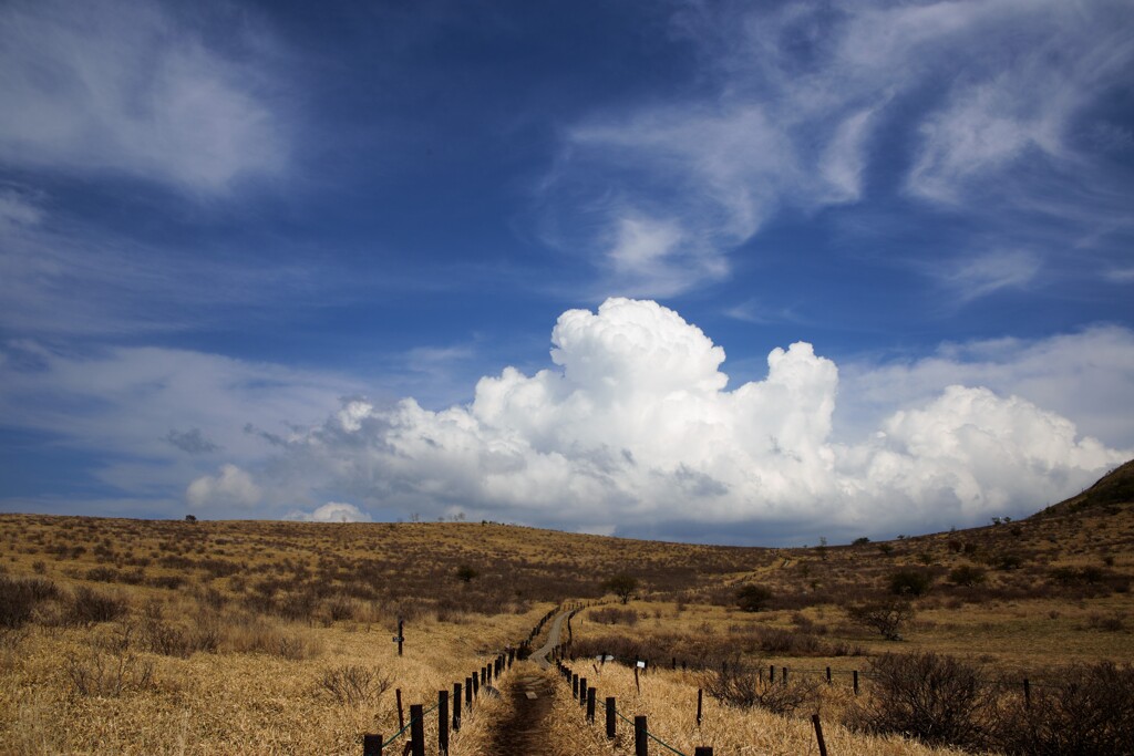 荒野のような風景