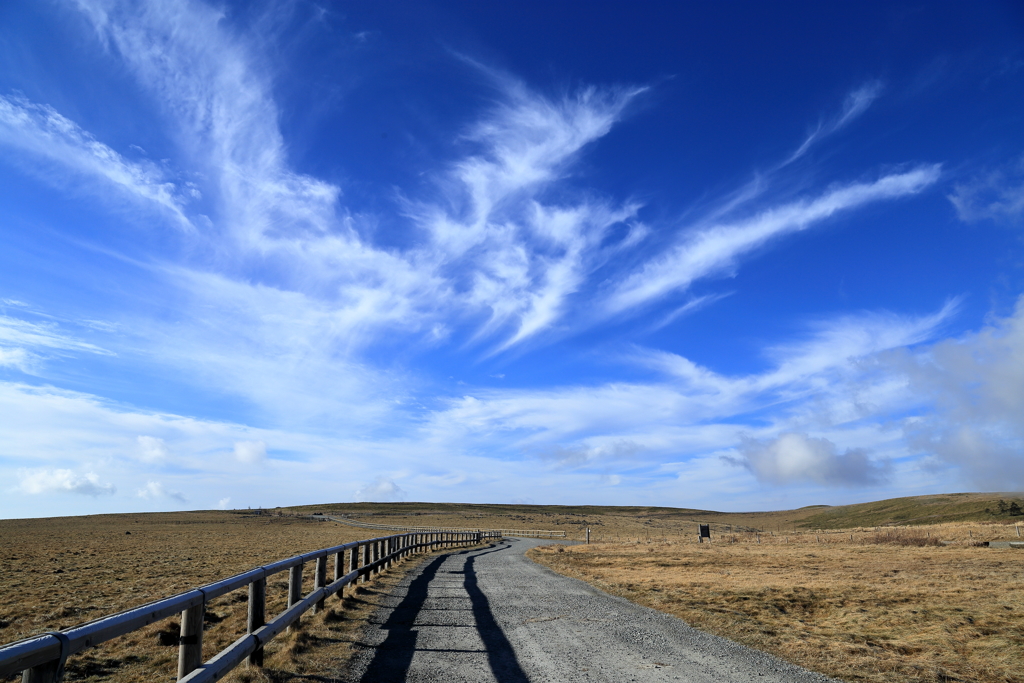 A cloud like a bird flying away