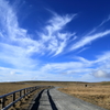 A cloud like a bird flying away