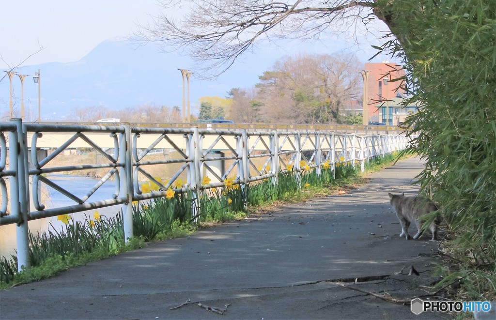 3月25日　朝