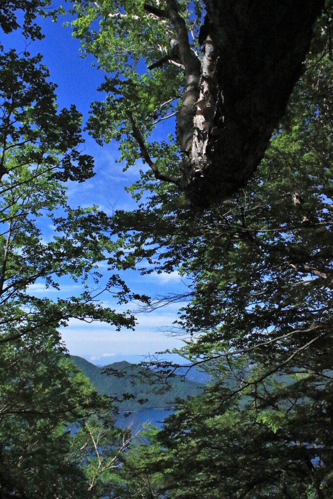 男体山へ