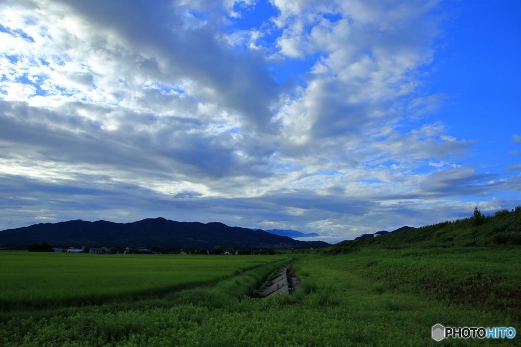 朝の田園風景