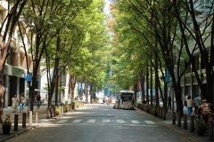 木漏れ日の街