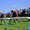 夏競馬