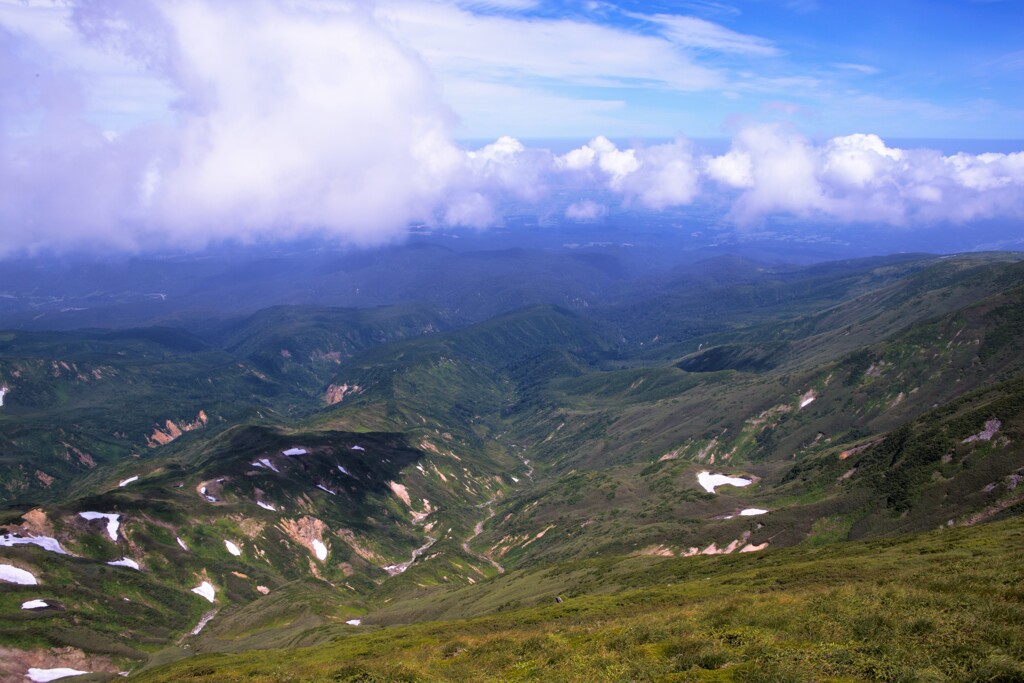 月山の裾野