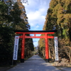 霧島神宮
